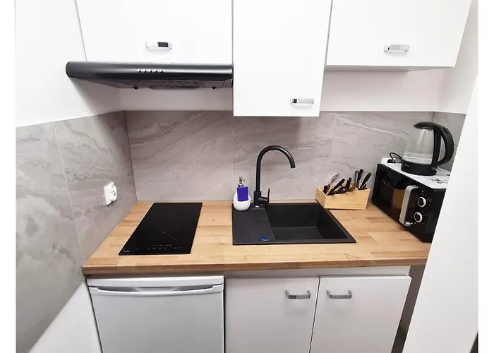 Souvenirappart Sniadeckich * 비드고슈치